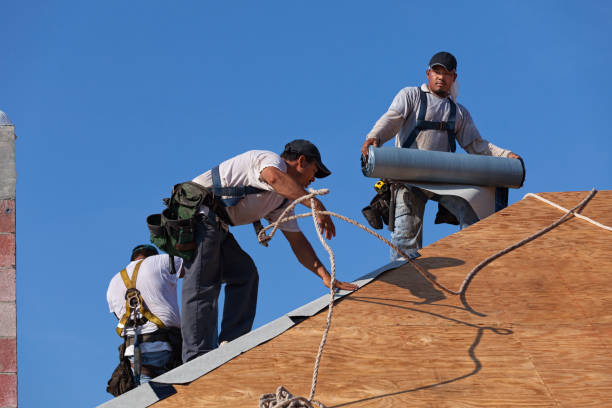 Best Residential Roofing Contractor  in Chanute, KS