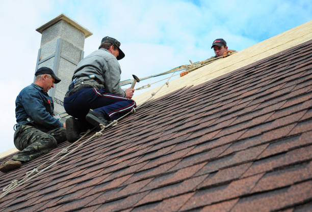 Best Roof Leak Repair  in Chanute, KS