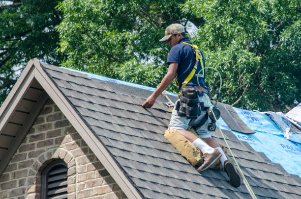 Best Shingle Roofing Installation  in Chanute, KS