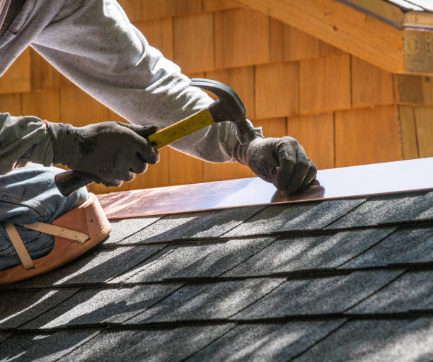 Best Roof Gutter Cleaning  in Chanute, KS